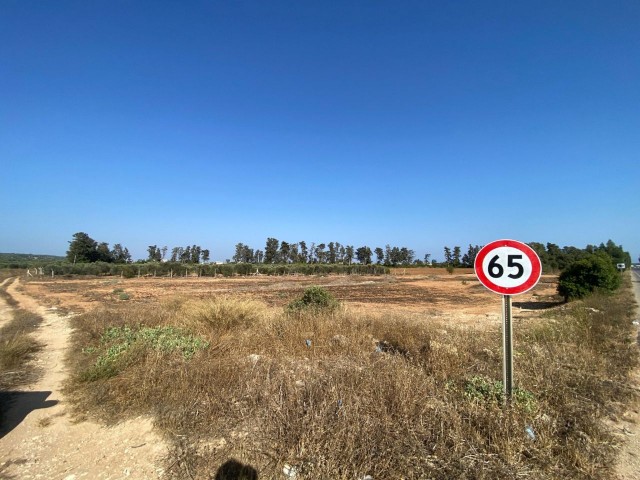 İSKELE ZİYAMET INVESTMENT OPPORTUNITY READY FOR CONSTRUCTION LAND ON KARPAZ MAIN ROAD 4891M² TOTAL