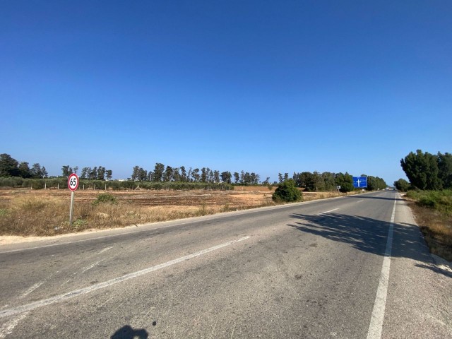 İSKELE ZİYAMET INVESTMENT OPPORTUNITY READY FOR CONSTRUCTION LAND ON KARPAZ MAIN ROAD 4891M² TOTAL