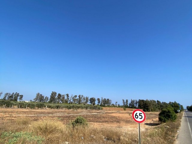 İSKELE ZİYAMET INVESTMENT OPPORTUNITY READY FOR CONSTRUCTION LAND ON KARPAZ MAIN ROAD 4891M² TOTAL