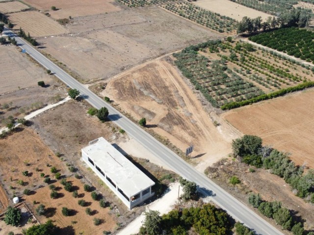 İSKELE ZİYAMET INVESTMENT OPPORTUNITY READY FOR CONSTRUCTION LAND ON KARPAZ MAIN ROAD 4891M² TOTAL
