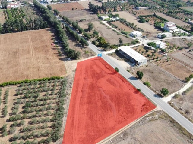 İSKELE ZİYAMET INVESTMENT OPPORTUNITY READY FOR CONSTRUCTION LAND ON KARPAZ MAIN ROAD 4891M² TOTAL