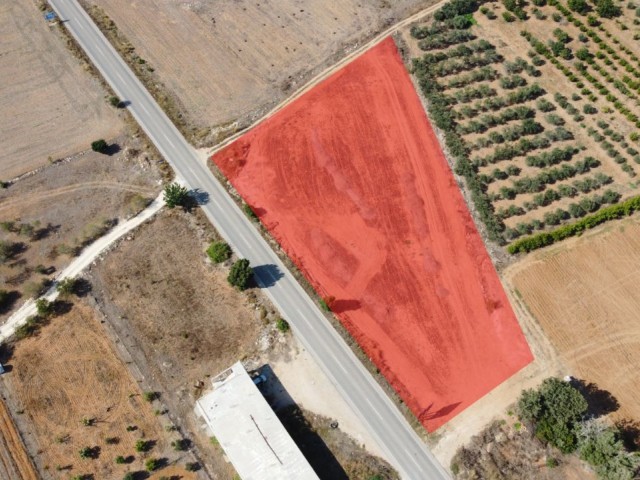 İSKELE ZİYAMET INVESTMENT OPPORTUNITY READY FOR CONSTRUCTION LAND ON KARPAZ MAIN ROAD 4891M² TOTAL