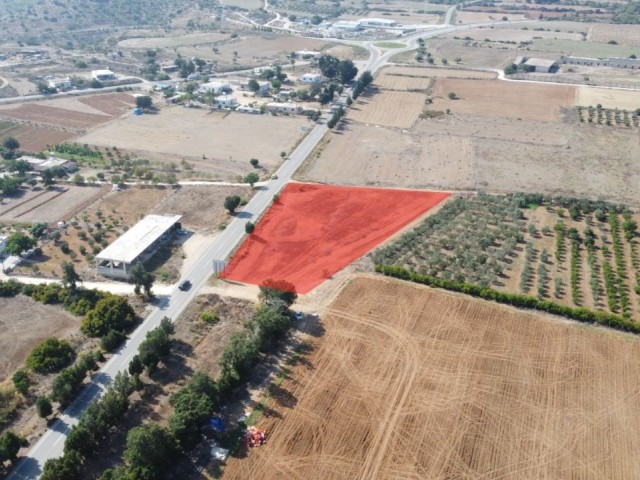 İSKELE ZİYAMET INVESTITIONSMÖGLICHKEIT OFFEN FÜR BAULAND AUF DER KARPAZ-HAUPTSTRASSE 4891M² INFRASTRUKTUR BEREIT