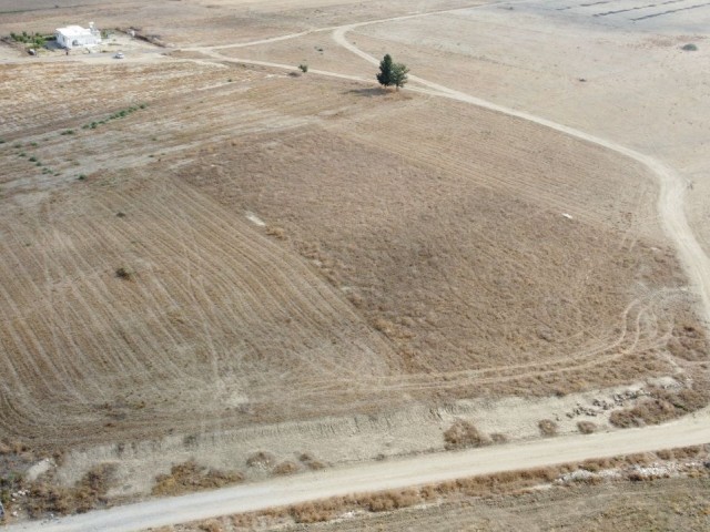 MESARYA REGION ULUKIŞLA VILLAGE  RESİDENTİAL ZONED PLOT, 2 DECLARES 1 EVLEK INFRASTRUCTURE READY 3 KOÇAN 2.29 DECLARES