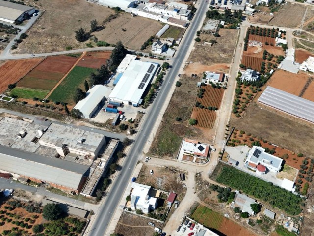 فاماگوستا لارناکا ROAD CORNER LAND