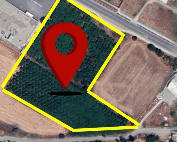 In the center of Güzelyurt, one of the rare regions of Cyprus, in a commercial location, on the main street, 10 decares of land subject to section 96 building permit