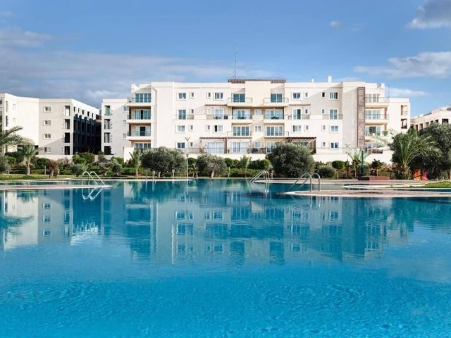 URGENT SALE! BRAND NEW 3+1 FLAT FOR SALE IN THALASSA BEACH RESORT ON THE FIRST LINE OF ITS SANDY BEACH.