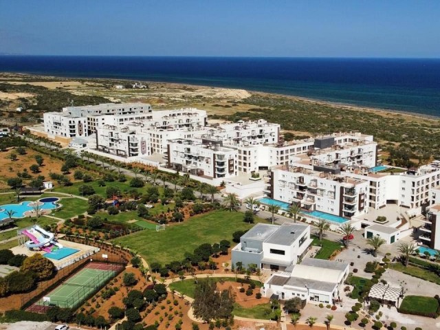 URGENT SALE! BRAND NEW 3+1 FLAT FOR SALE IN THALASSA BEACH RESORT ON THE FIRST LINE OF ITS SANDY BEACH.