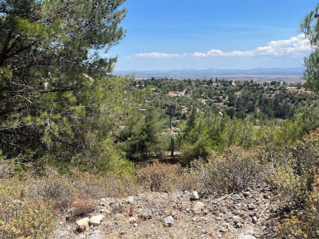 Landen Sie auf der Hauptstraße von Nicosia Kyrenia, bevor Sie zum Picknickplatz am Bosporus gelangen