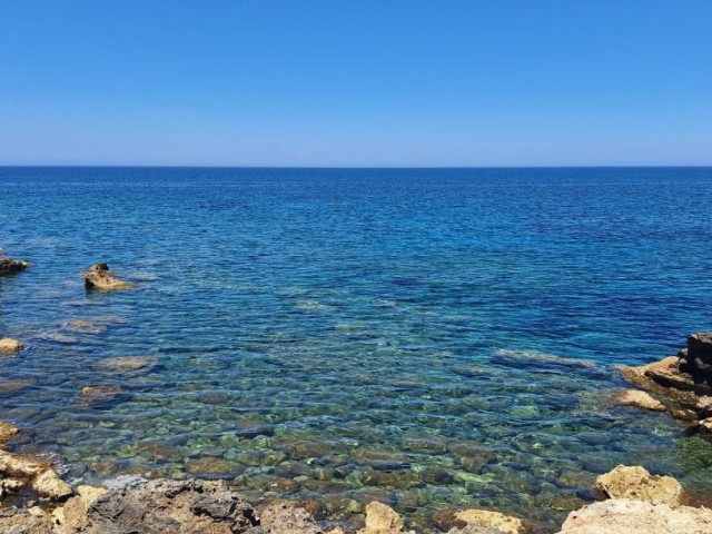 رشته برای فروش in Sadrazamköy, گیرنه