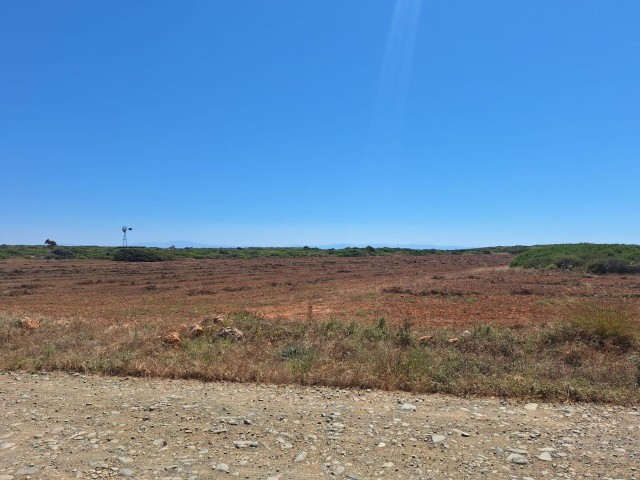 رشته برای فروش in Sadrazamköy, گیرنه