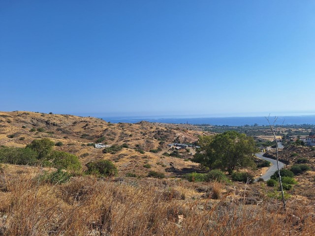 TURKISH PROPERTY 34 DECARE LAND WITH SEA VIEW FOR SALE IN LEFKE BAĞLIKÖY