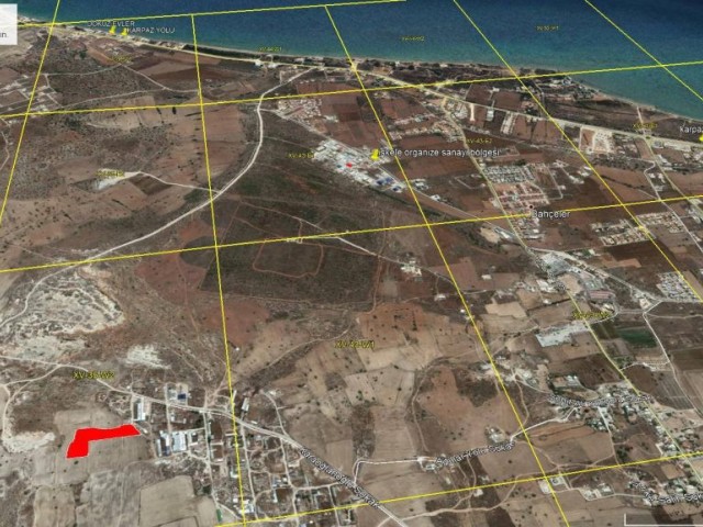 Field For Sale in İskele Merkez, Iskele