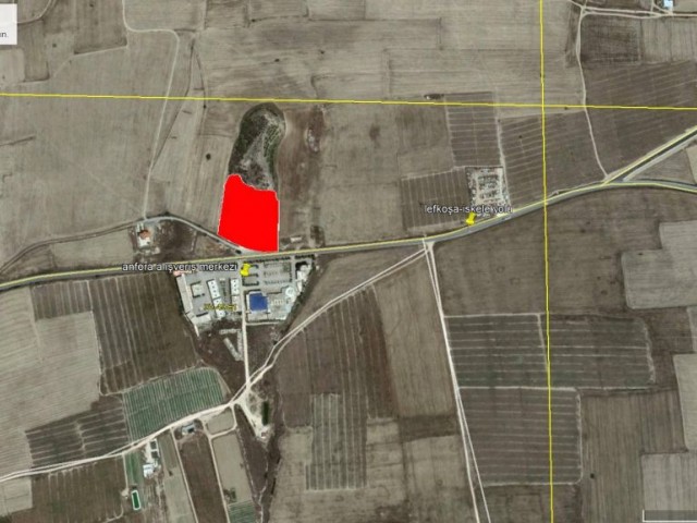 Field For Sale in İskele Merkez, Iskele