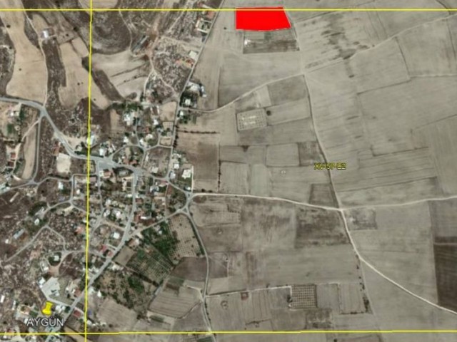 Field For Sale in İskele Merkez, Iskele