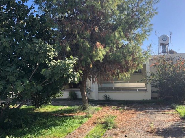 Einfamilienhaus Kaufen in Boğaz, Iskele