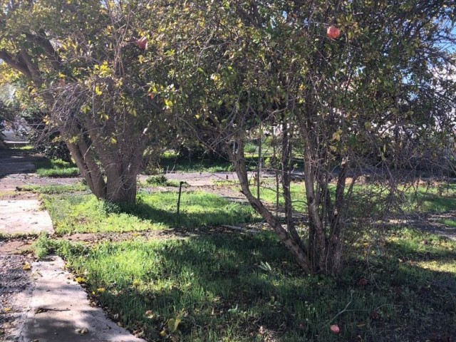 خانه مستقل برای فروش in Boğaz, ایسکله