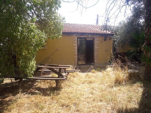 Einfamilienhaus Kaufen in Yeni Boğaziçi, Famagusta