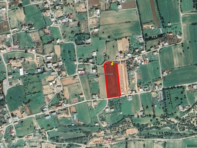 Land For Sale In Iskele Dipkarpaz ** 