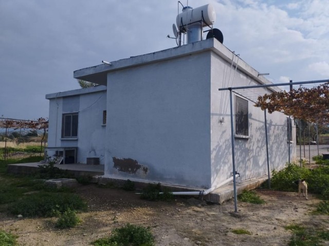 Zu verkaufen Land in Famagusta Tatlısu ** 