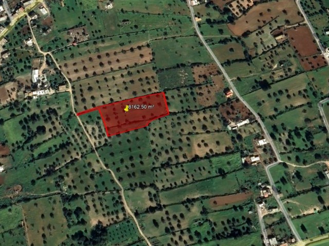 For Sale Land in Iskele Sipahi