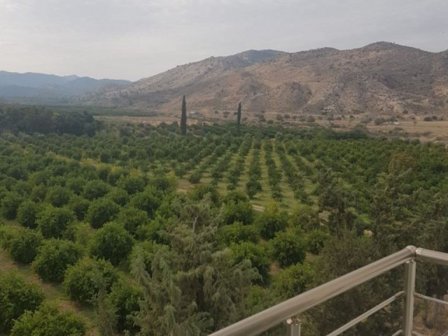 Lefke'nin Merkezinde satılık TÜRK KOÇANLI daire.