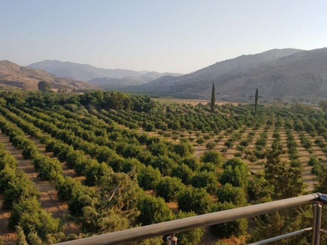 Lefke'nin Merkezinde satılık TÜRK KOÇANLI daire.