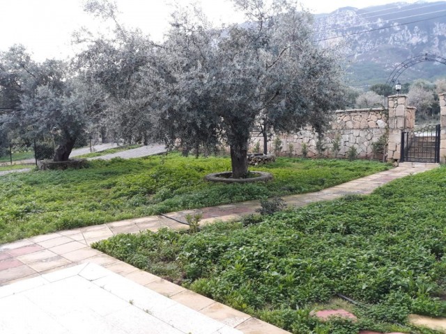 Villa Mieten in Girne Merkez, Kyrenia