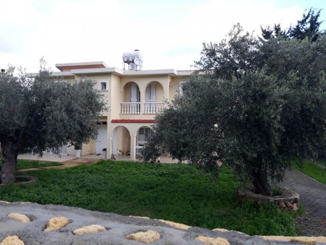 Вилла Арендовать in Girne Merkez, Кирения