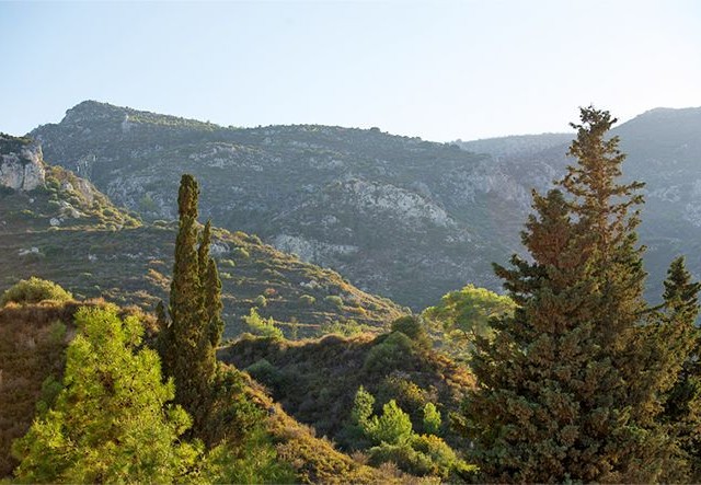 Modern Bir Aile Evi Mi Arıyorsunuz? Başka Yerde Arama! aradığın yer burası 3+1 225m2 türk koçanlı villa