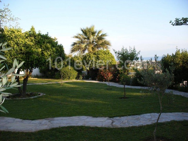 Lapta is also a 5+1 villa with a pre-74 English cob pool 350.000 stg ** 