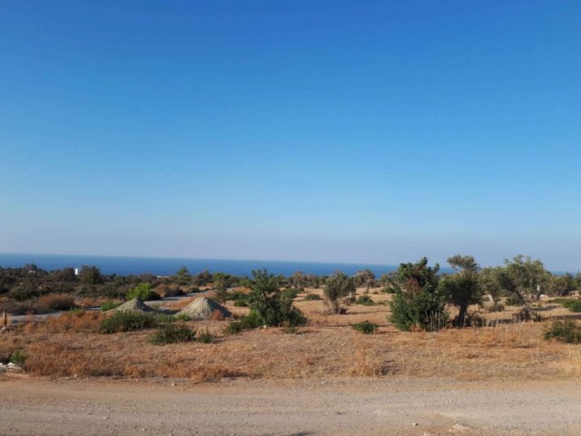 **JUST REDUCED** 14 DÖNÜMS OF LAND WITH PANORAMIC SEA VIEWS - ESENTEPE