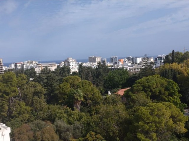 Komplettes Gebäude Mieten in Türk Mahallesi, Kyrenia