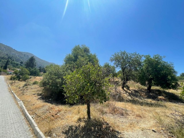 Girne, Bellapais'te satılık 6 dönüme yakın arazi