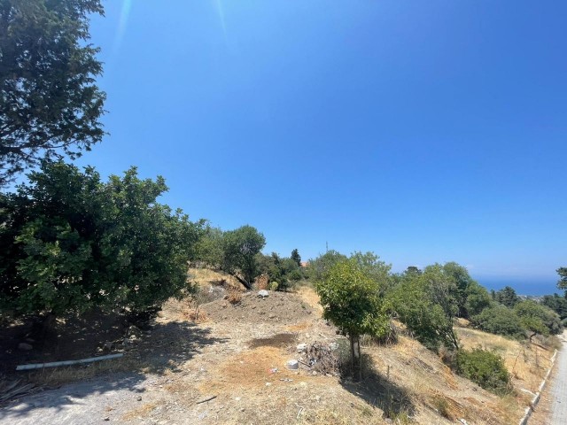 6 Hektar Land zum Verkauf in Kyrenia, Bellapais ** 