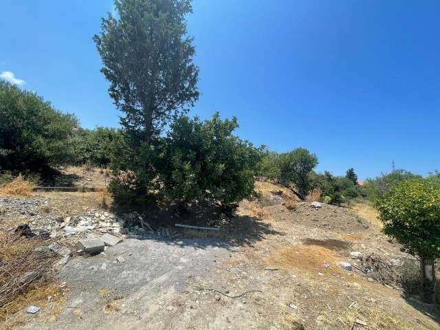 6 Hektar Land zum Verkauf in Kyrenia, Bellapais ** 