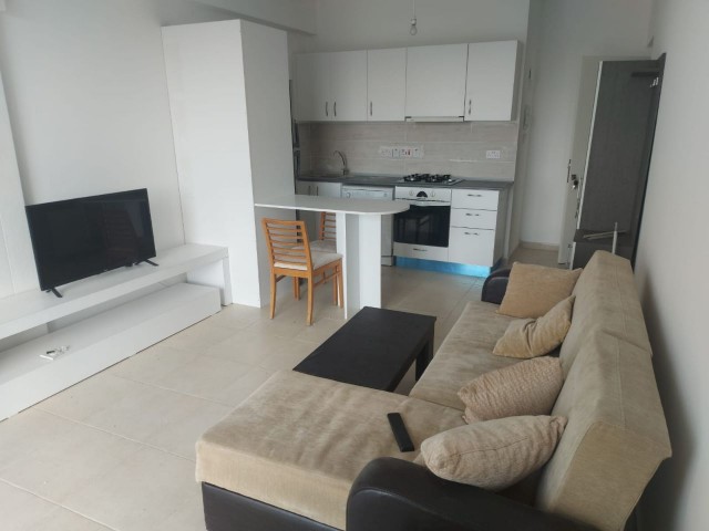 BRAND NEW FULLY FURNISHED APARTMENT FOR RENT