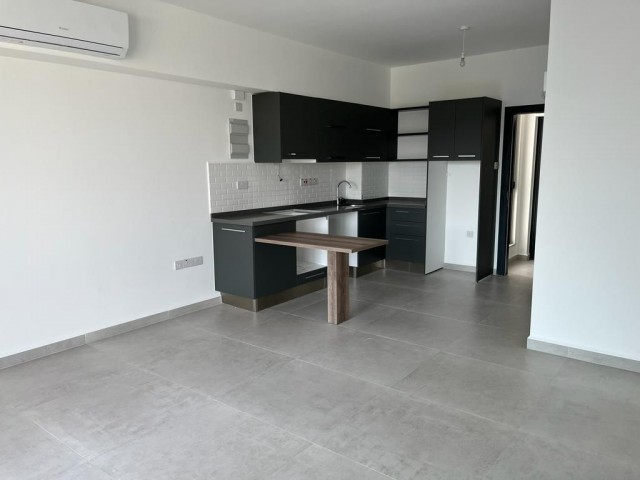 LÜKS PENTHOUSE STÜDYO DAİRE