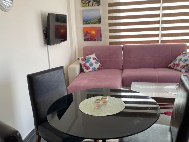 ONE BEDROOM FURNISHED PENTHOUSE