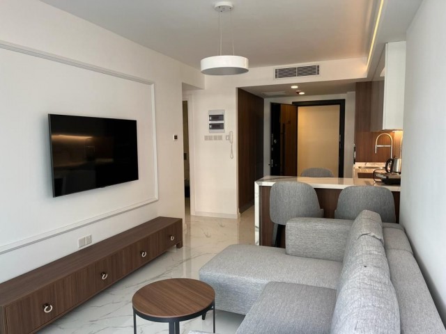 ONE BEDROOM LUXURY FURNISHED APARTMENT