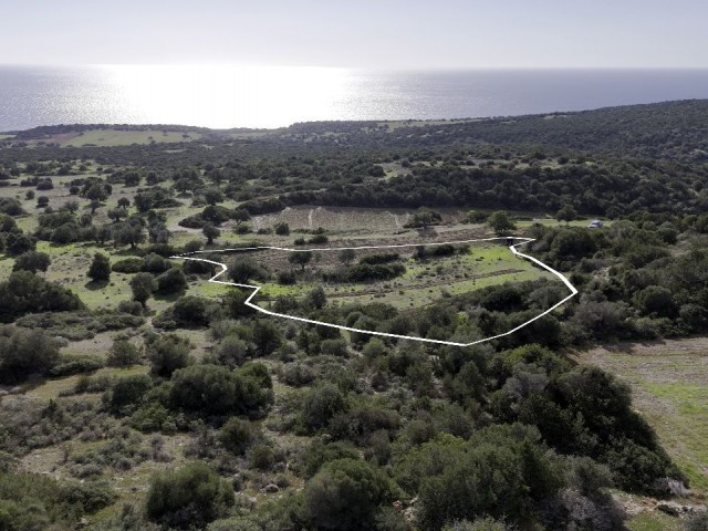 3157 m² Land For Sale In Taşlıca / Sea View