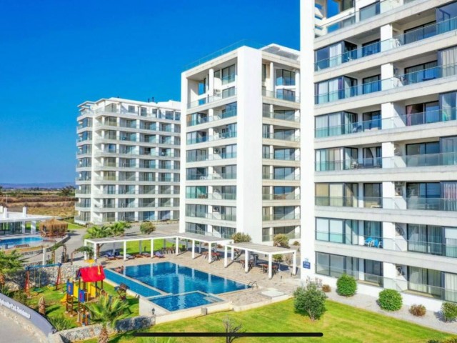 Luxury One Bedroom Furnished Apartments in Aphrodite Park Residence