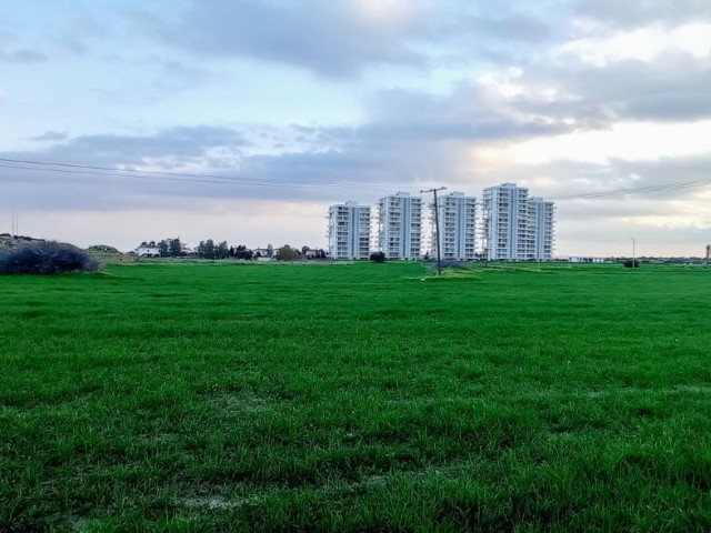 Turkish Koçan, 15 Donum 1 Evlek (20631 m²) Abelia arkası, İmara açık satılık arazi