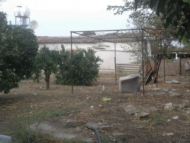 Einfamilienhaus Mieten in Aşağı Bostancı, Guzelyurt