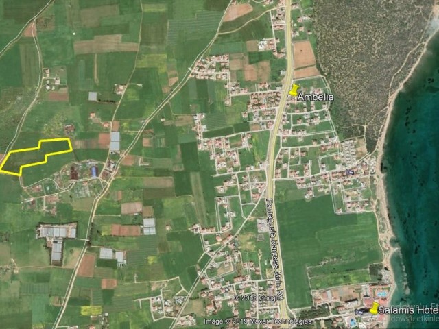 Field For Sale in Salamis, Famagusta