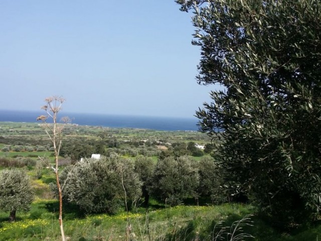 Excellent sea view land on a hill in Yenierenkoy ** 