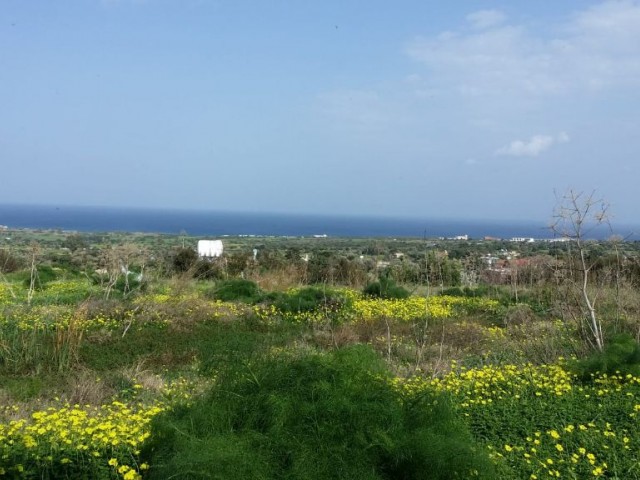 Excellent sea view land on a hill in Yenierenkoy ** 