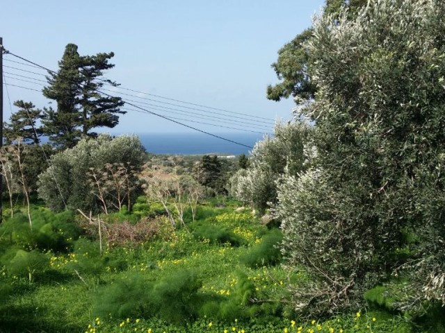 Excellent sea view land on a hill in Yenierenkoy ** 