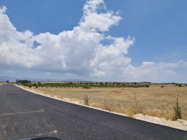 FIRSAT tarım arazisi !! YENİ dükülmüş yolu var.