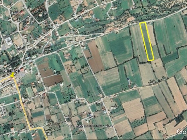 DIPKARPAZ'da imara açık 9 Dönüm arazi.